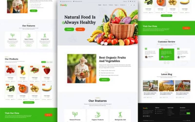 Foody – Organic Food Website Template